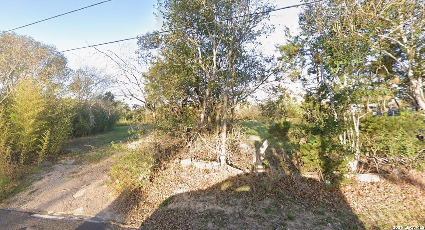 68 acres in Guadalupe County - photo 7