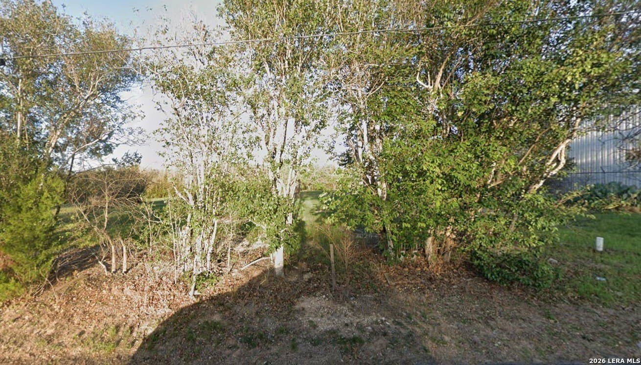 68 acres in Guadalupe County - photo 8