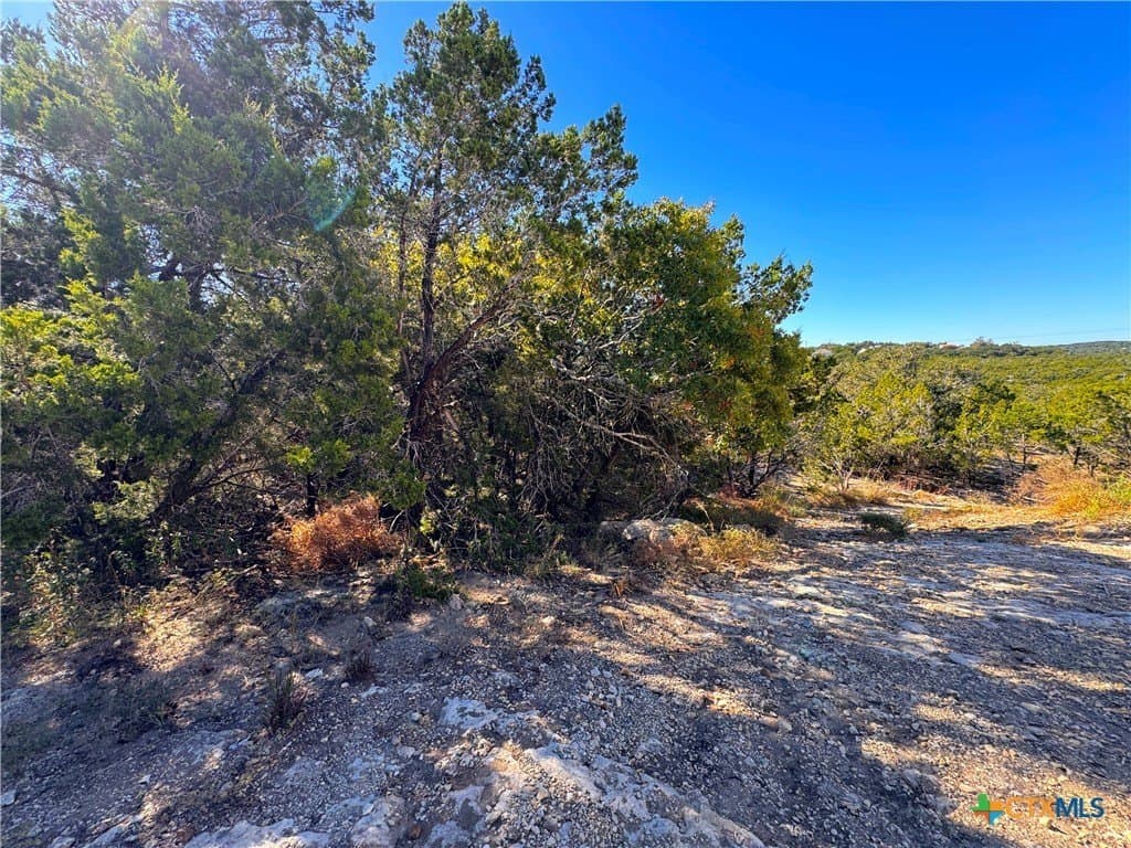 1.63 acres in Comal County - photo 12