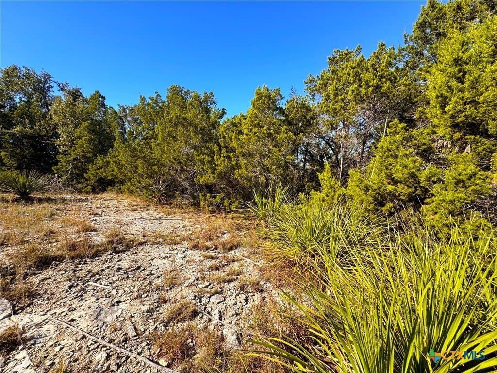 1.63 acres in Comal County - photo 8