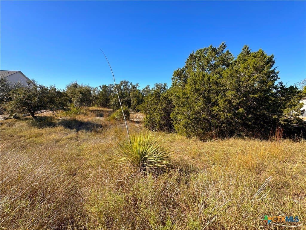 1.63 acres in Comal County - photo 7