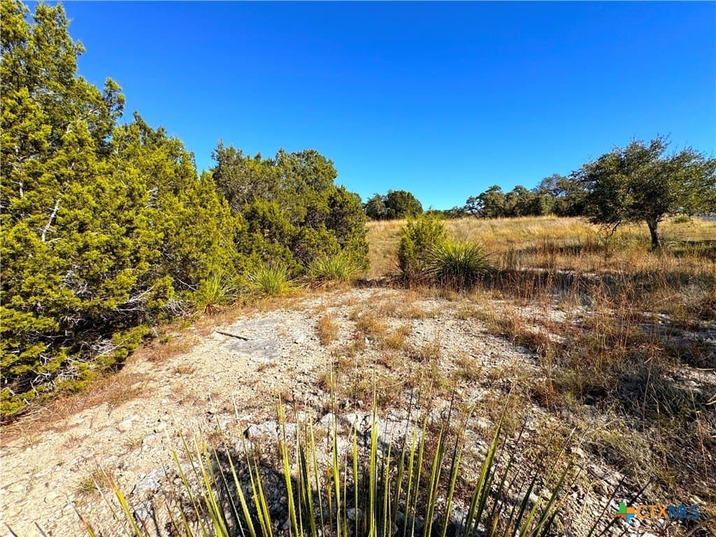 1.63 acres in Comal County - photo 9