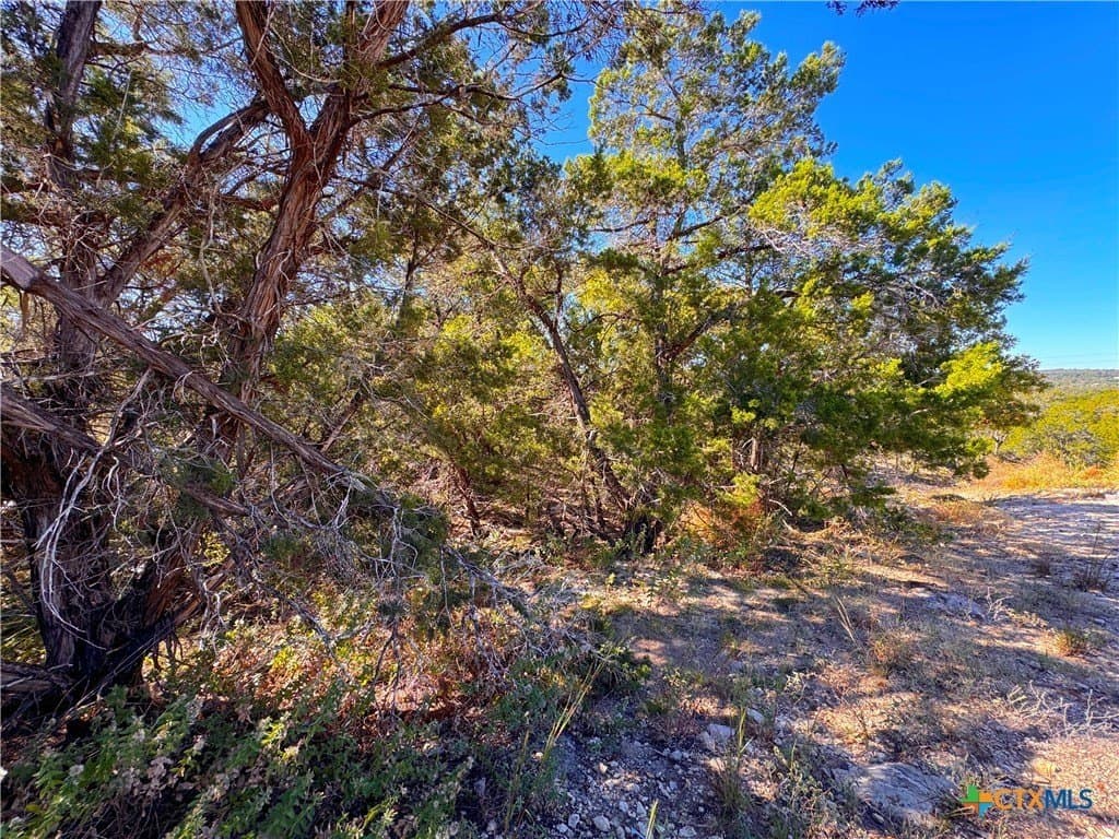1.63 acres in Comal County - photo 11