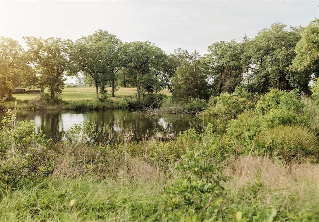 0.44 acres in Grayson County gallery image 3