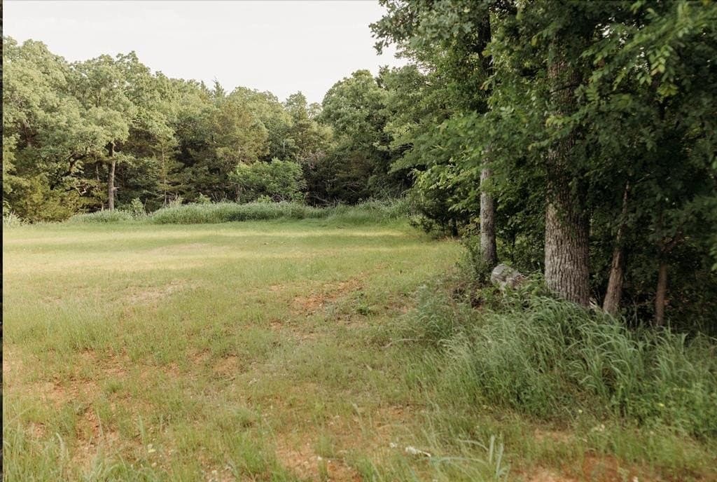 0.44 acres in Grayson County gallery image 2