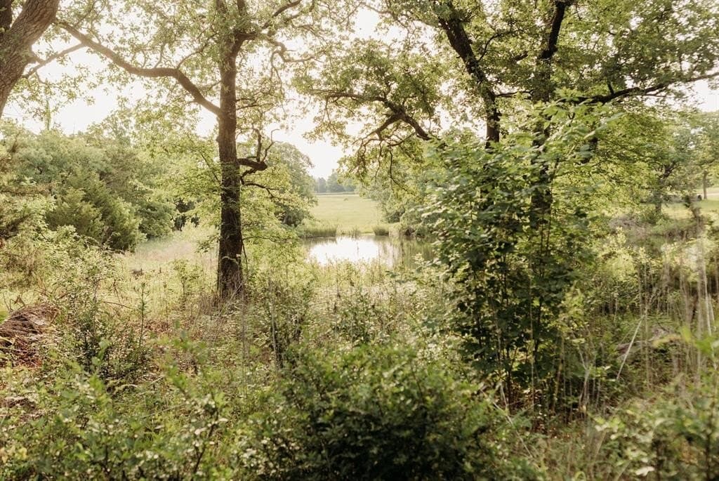 0.44 acres in Grayson County gallery image 4