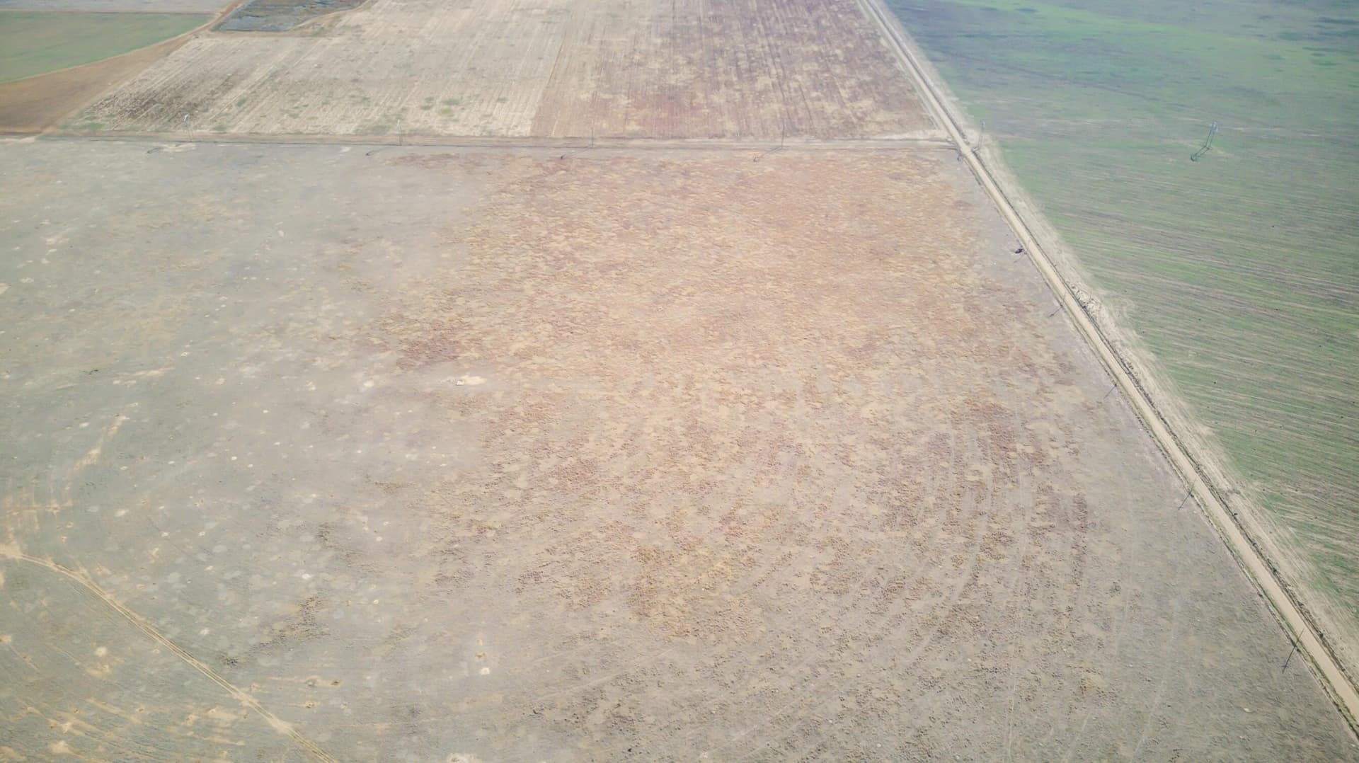 34.2 acres in Hale County - photo 17