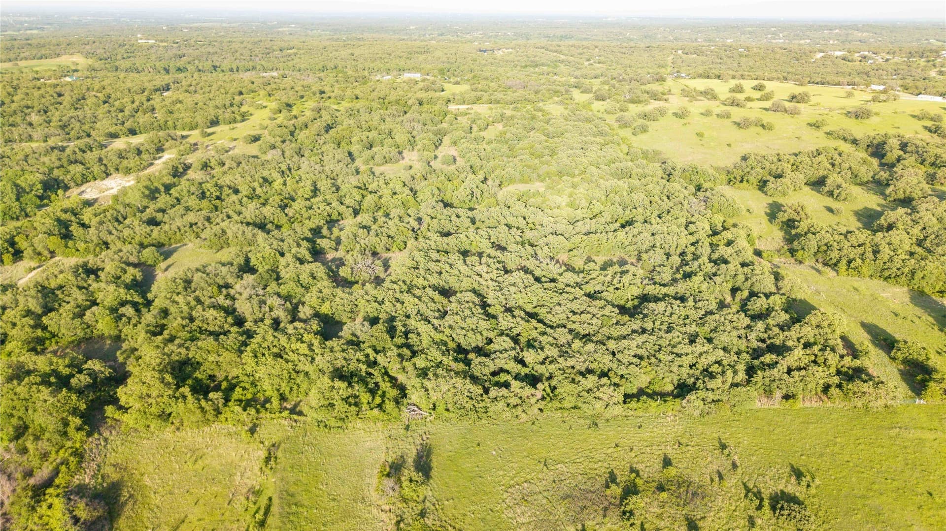53.83 acres in Wise County - photo 6