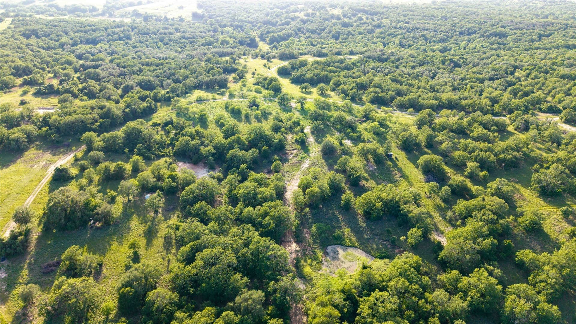 53.83 acres in Wise County gallery image 3