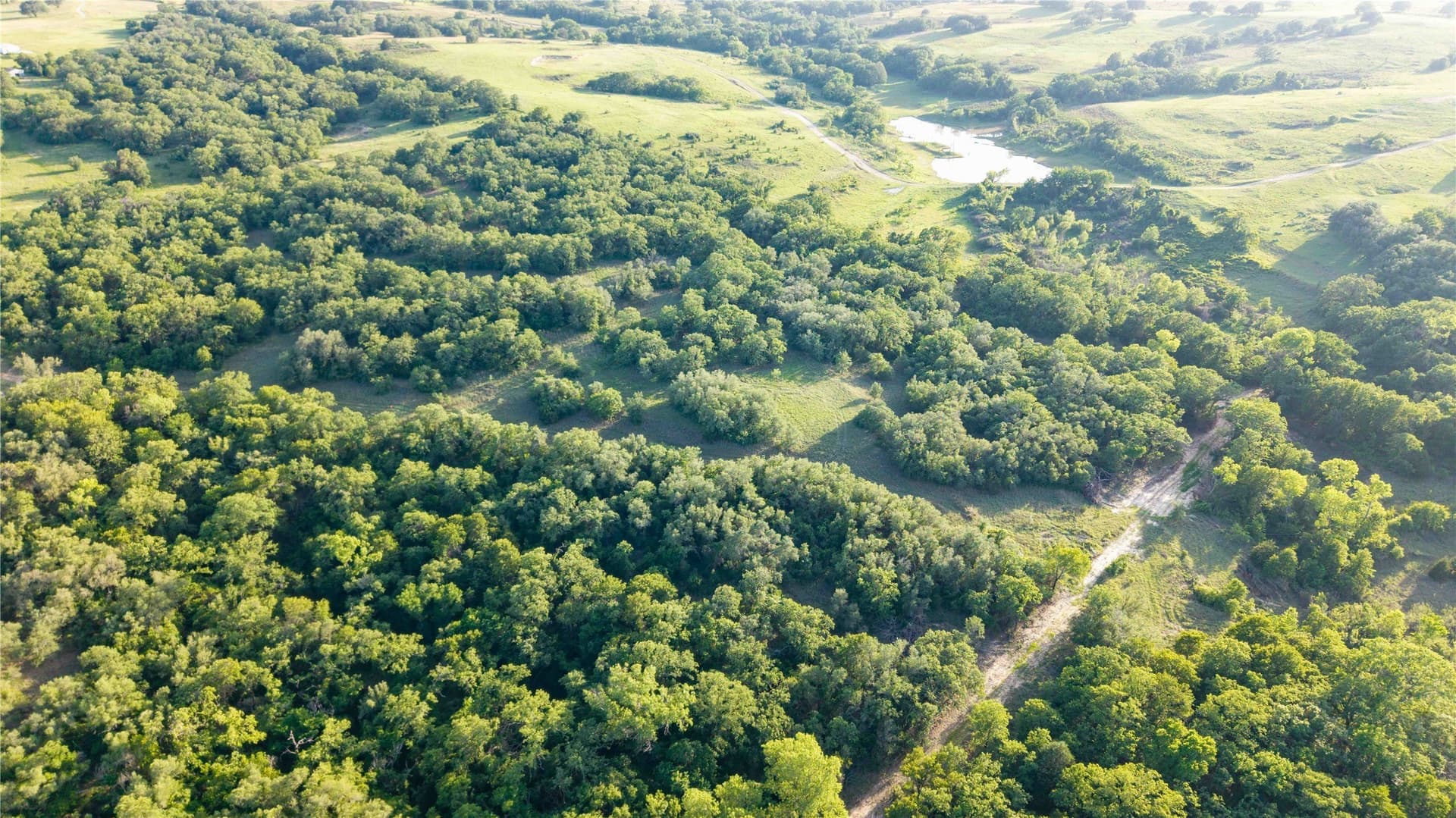 53.83 acres in Wise County - photo 7