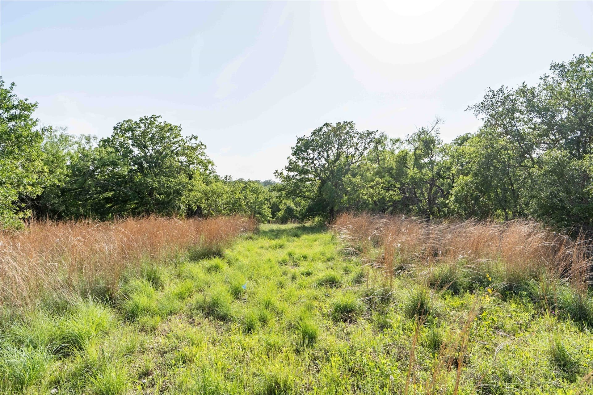 53.83 acres in Wise County - photo 9