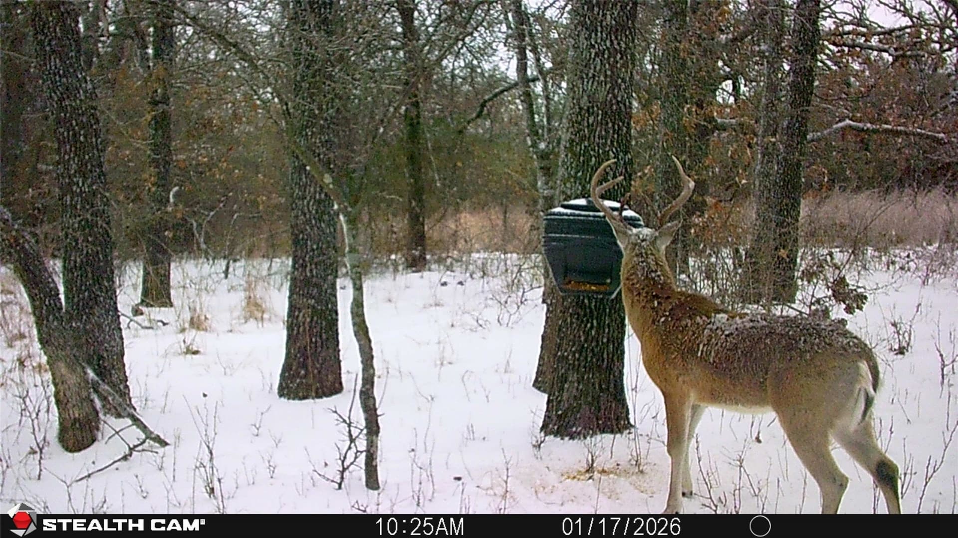 53.83 acres in Wise County - photo 16