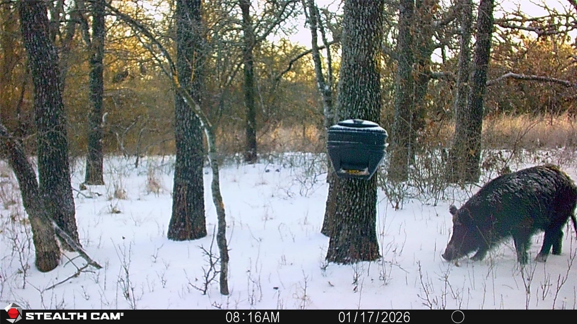 53.83 acres in Wise County - photo 15