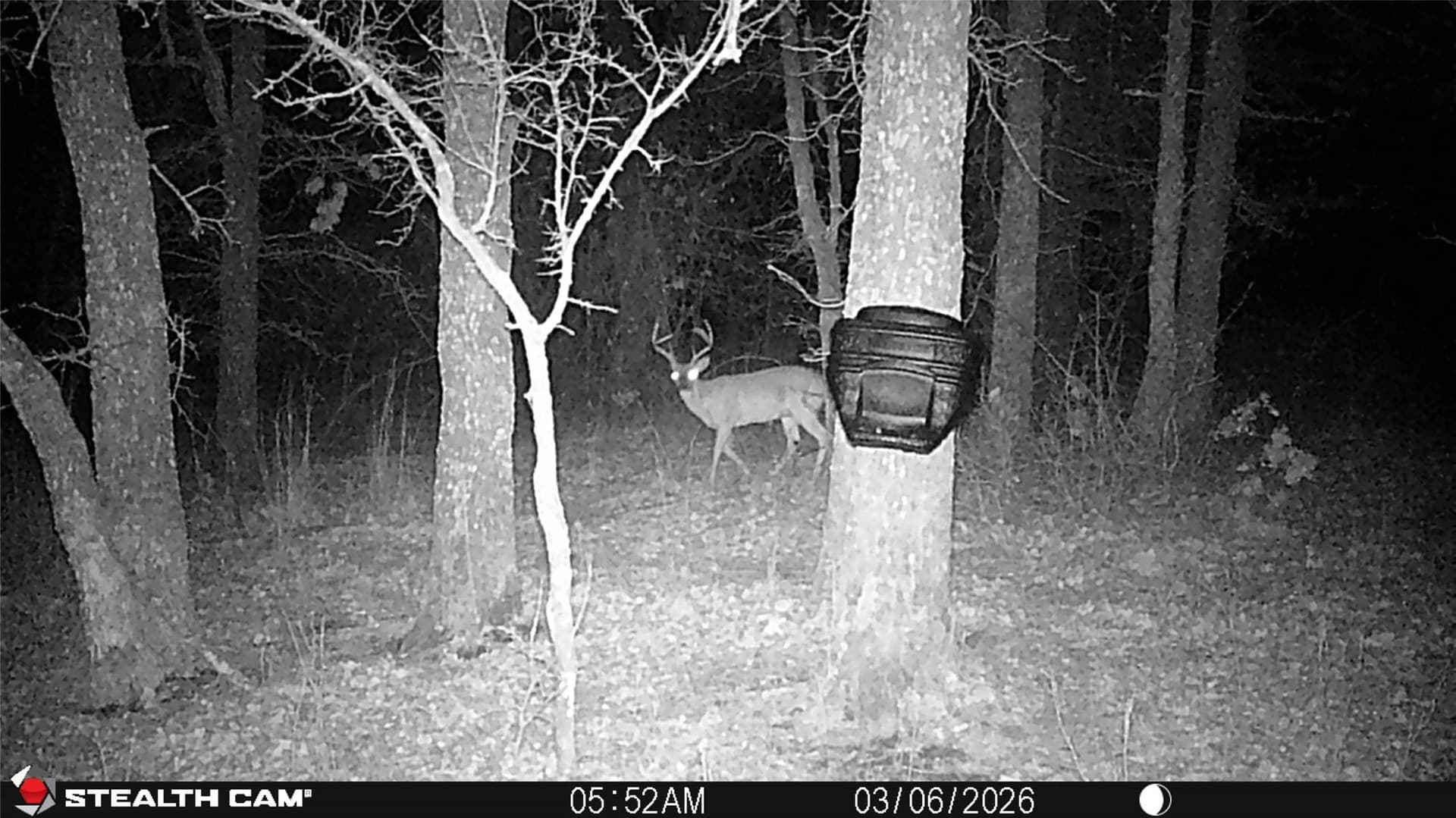 53.83 acres in Wise County - photo 17