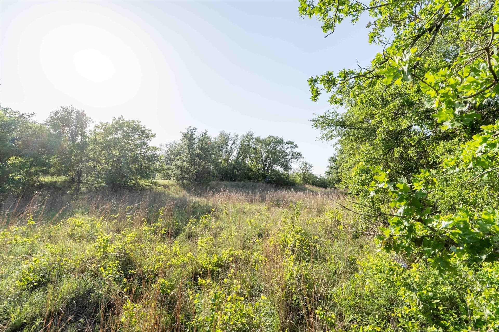 53.83 acres in Wise County - photo 13