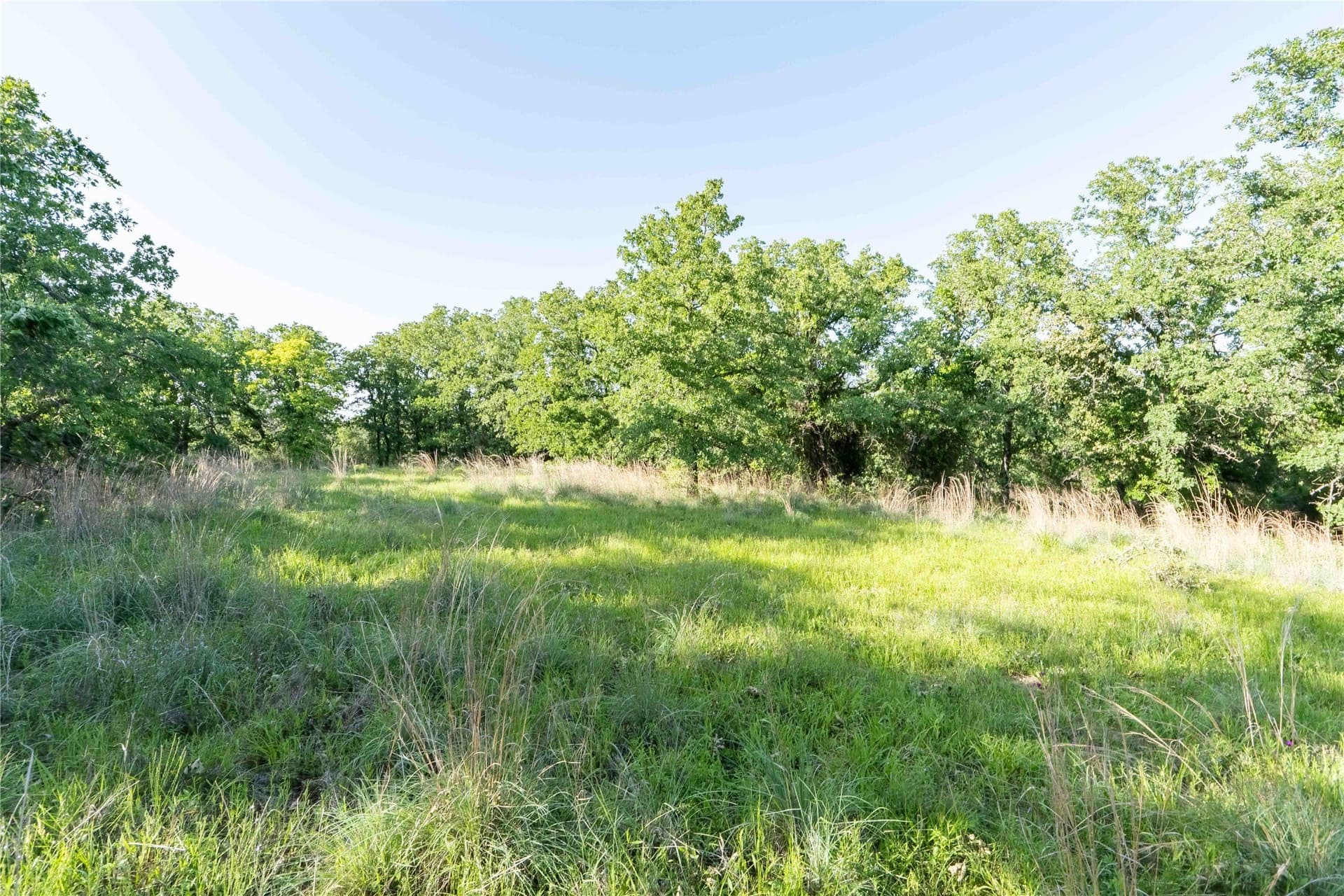 53.83 acres in Wise County - photo 12
