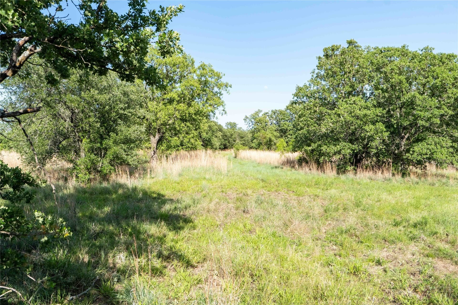 53.83 acres in Wise County - photo 10