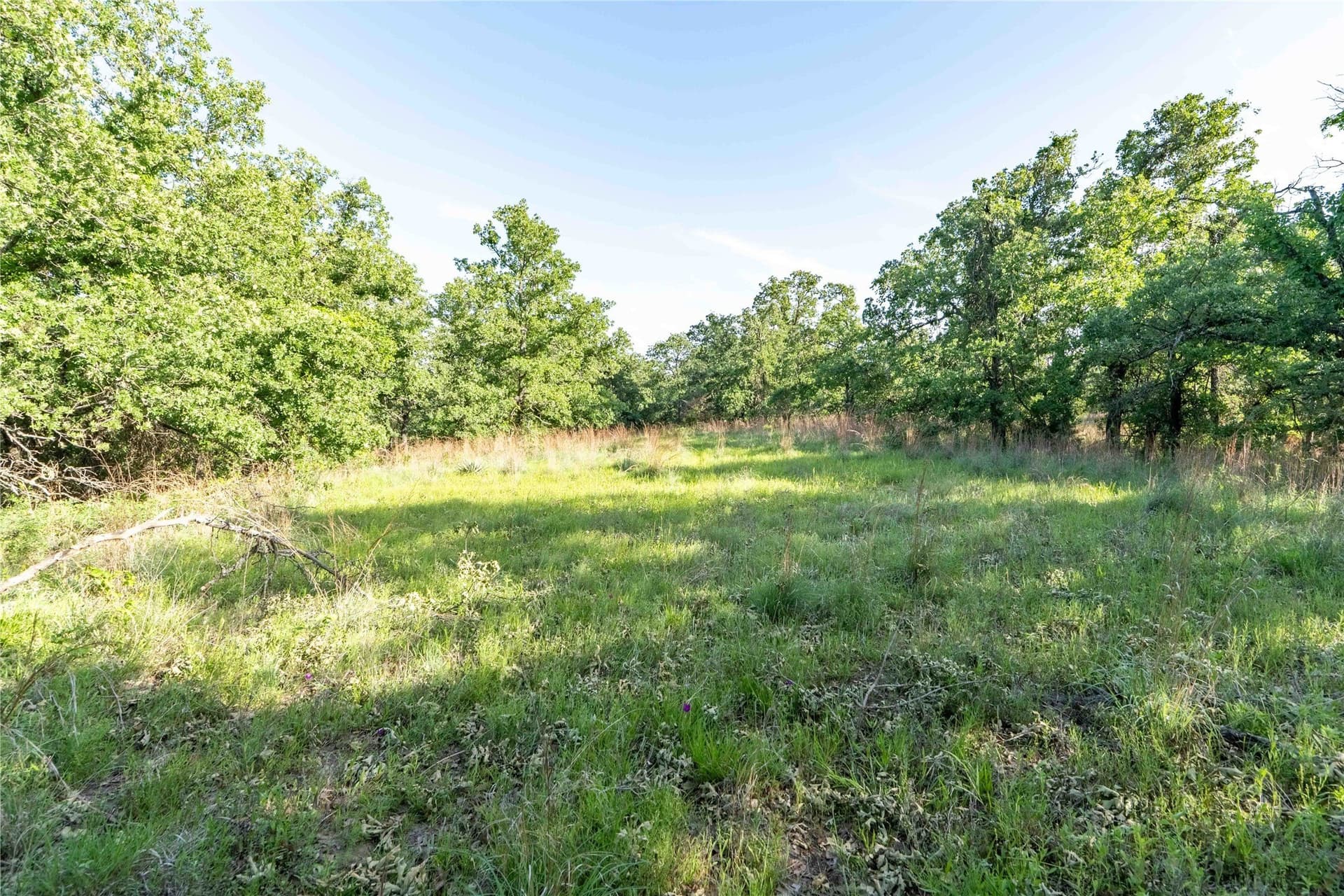 53.83 acres in Wise County - photo 11
