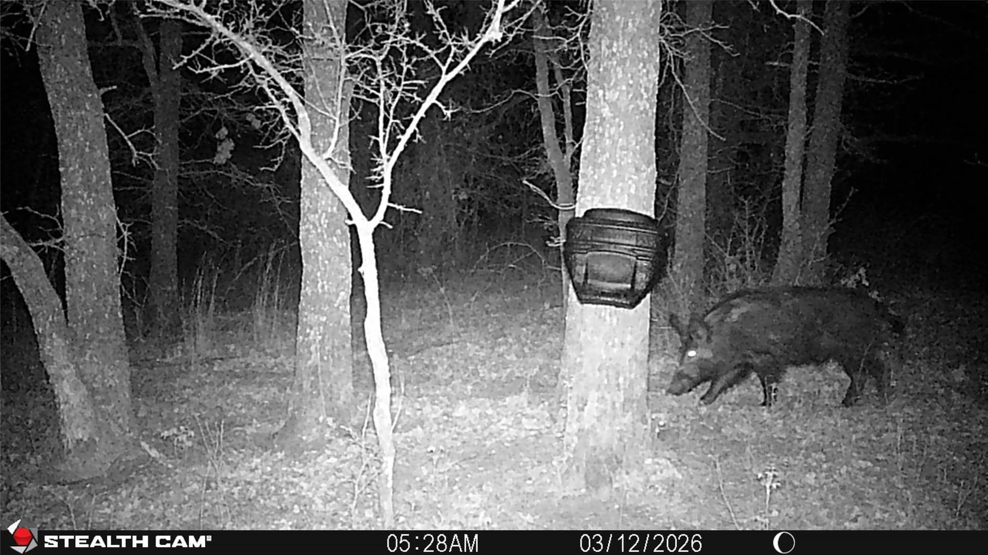 53.83 acres in Wise County - photo 18