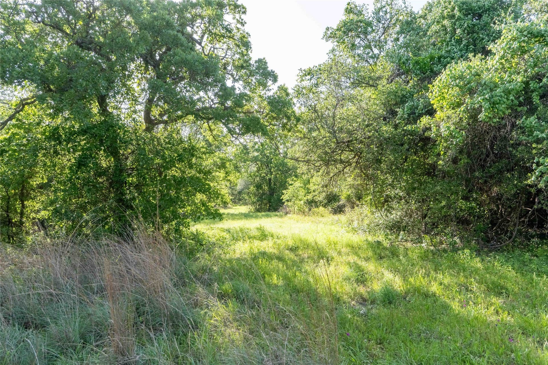 53.83 acres in Wise County - photo 8
