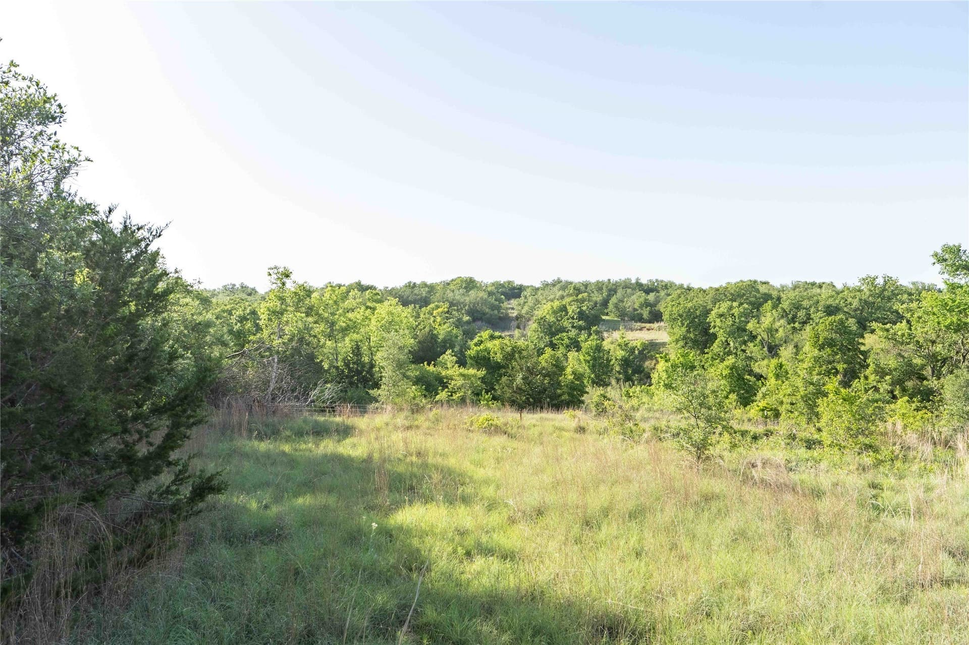 53.83 acres in Wise County - photo 14