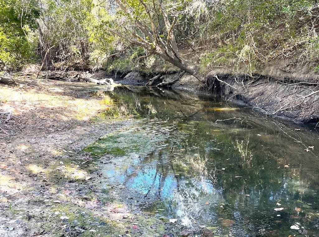 11.59 acres in Lavaca County - photo 2