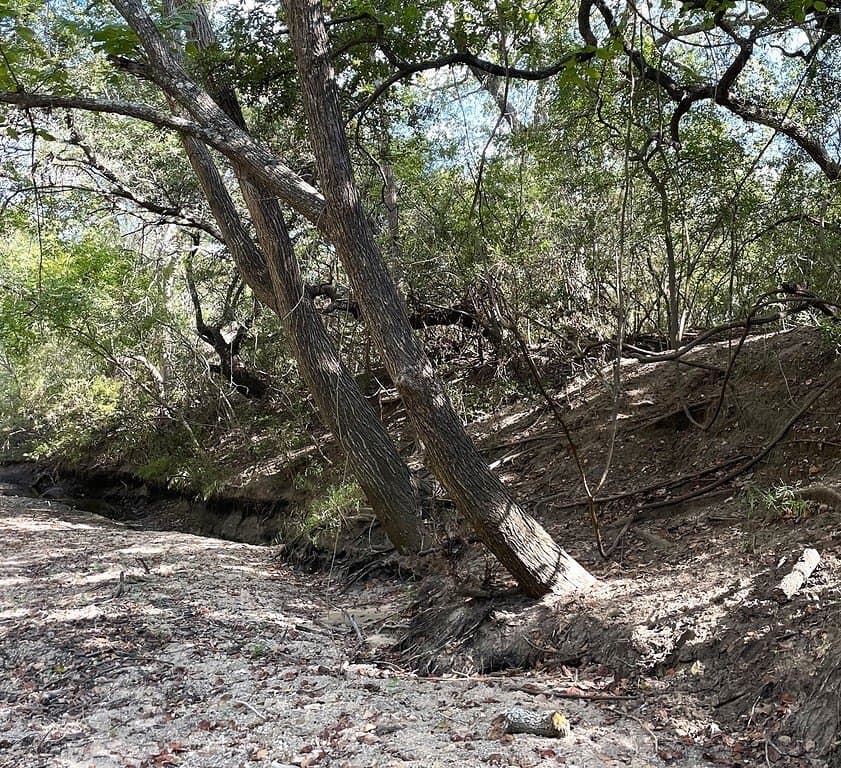 11.59 acres in Lavaca County - photo 3