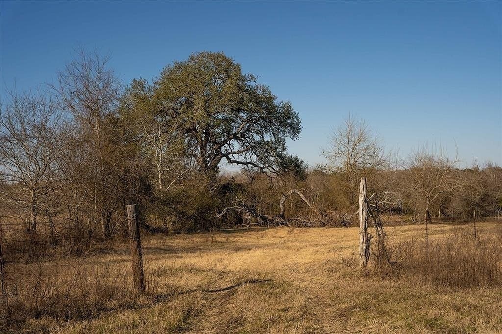 11.59 acres in Lavaca County - photo 13