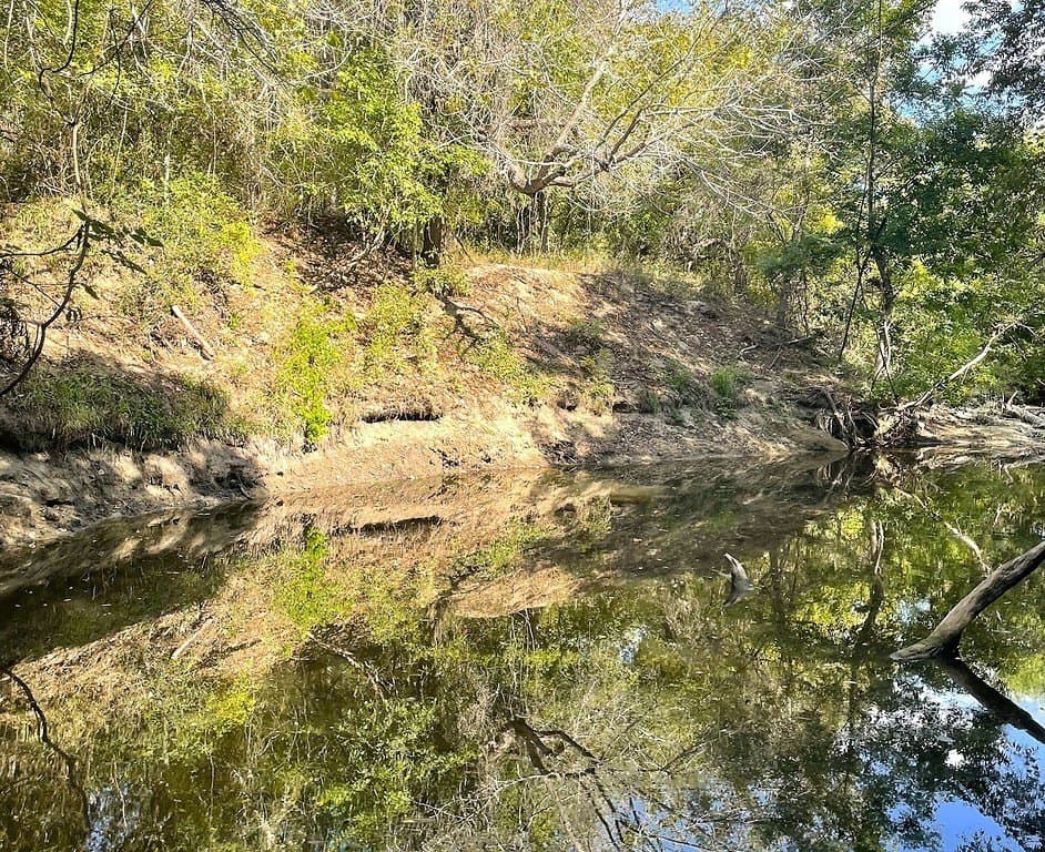 11.59 acres in Lavaca County - photo 4