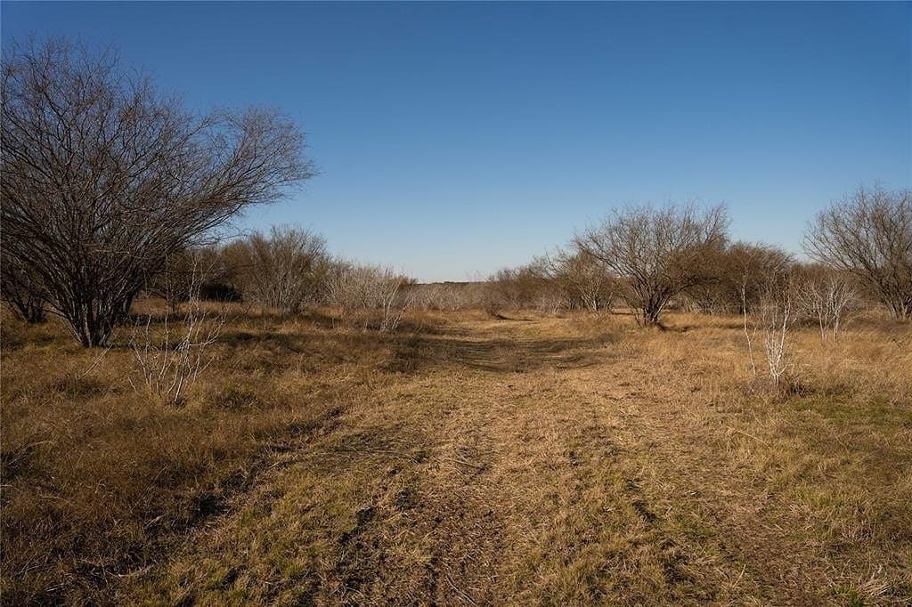 11.59 acres in Lavaca County - photo 14