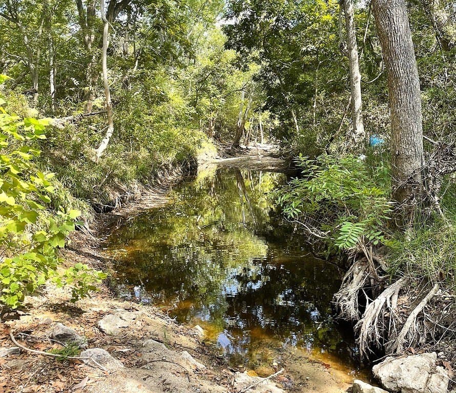 11.59 acres in Lavaca County - photo 6