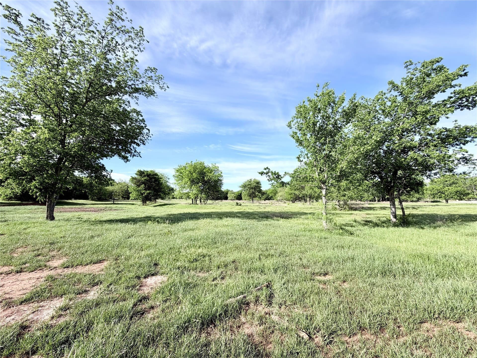 3.16 acres in Hill County gallery image 4
