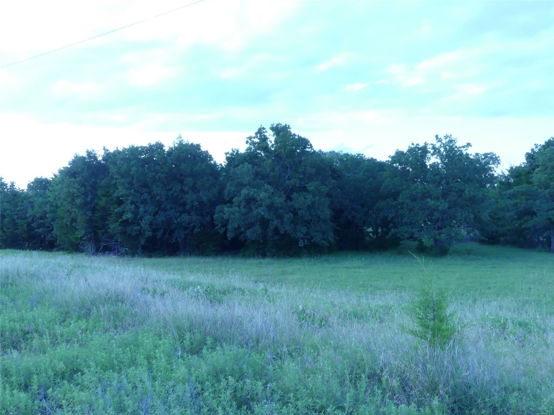 82.84 acres in Montague County - photo 39