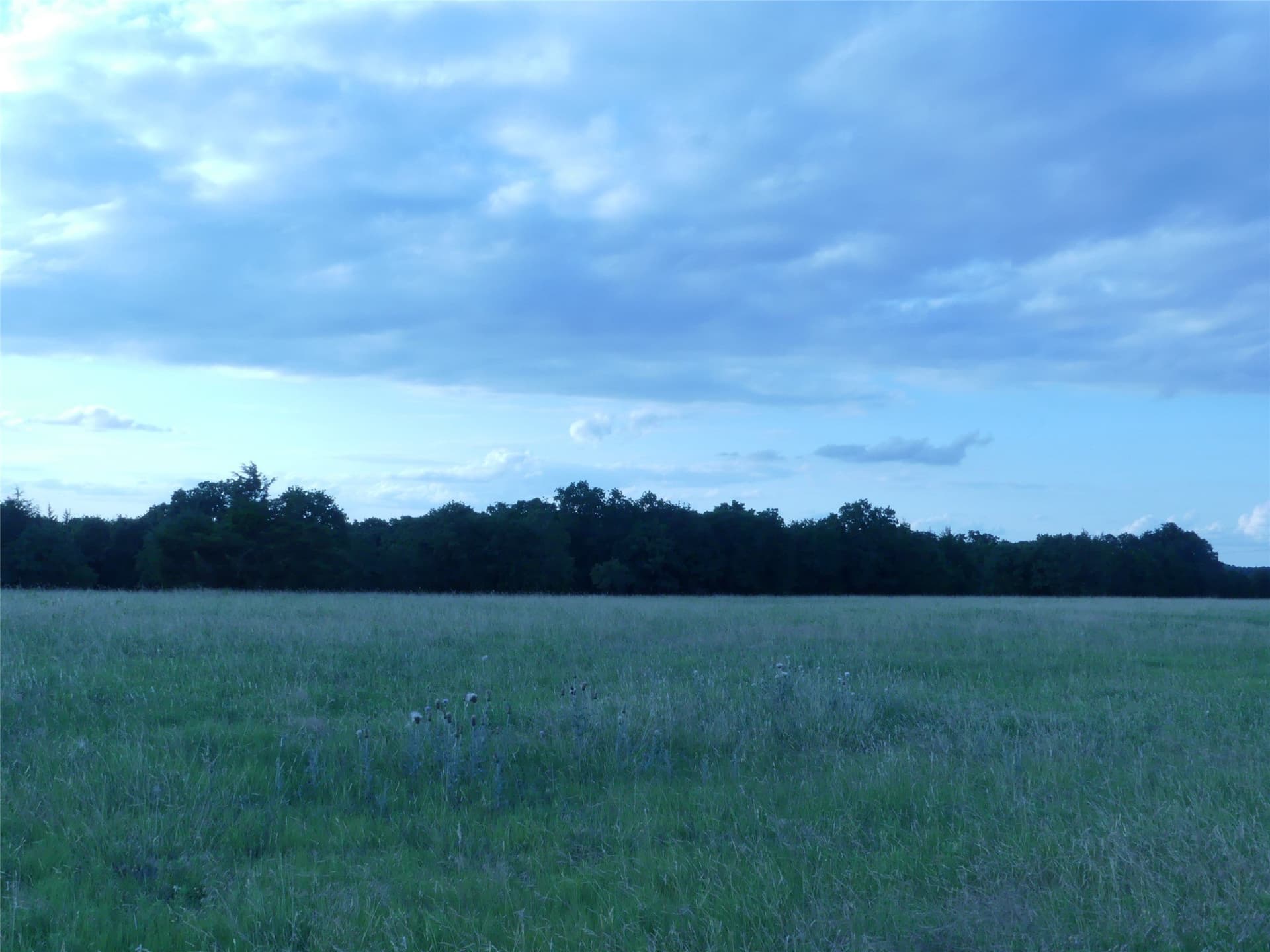 82.84 acres in Montague County - photo 37