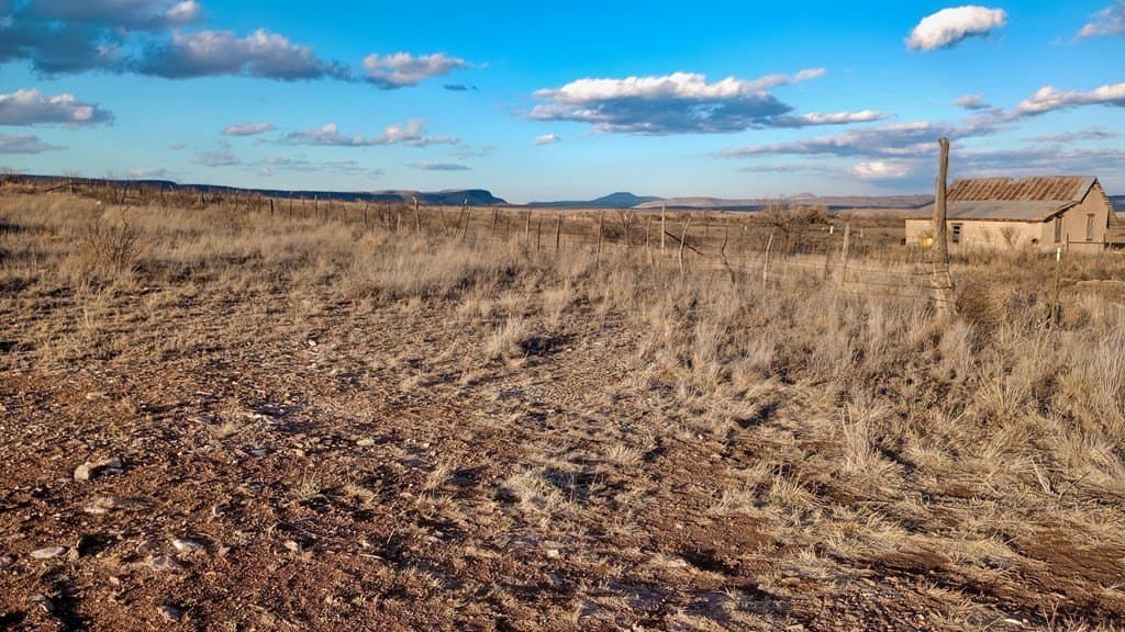 0.31 acres in Jeff Davis County - photo 10
