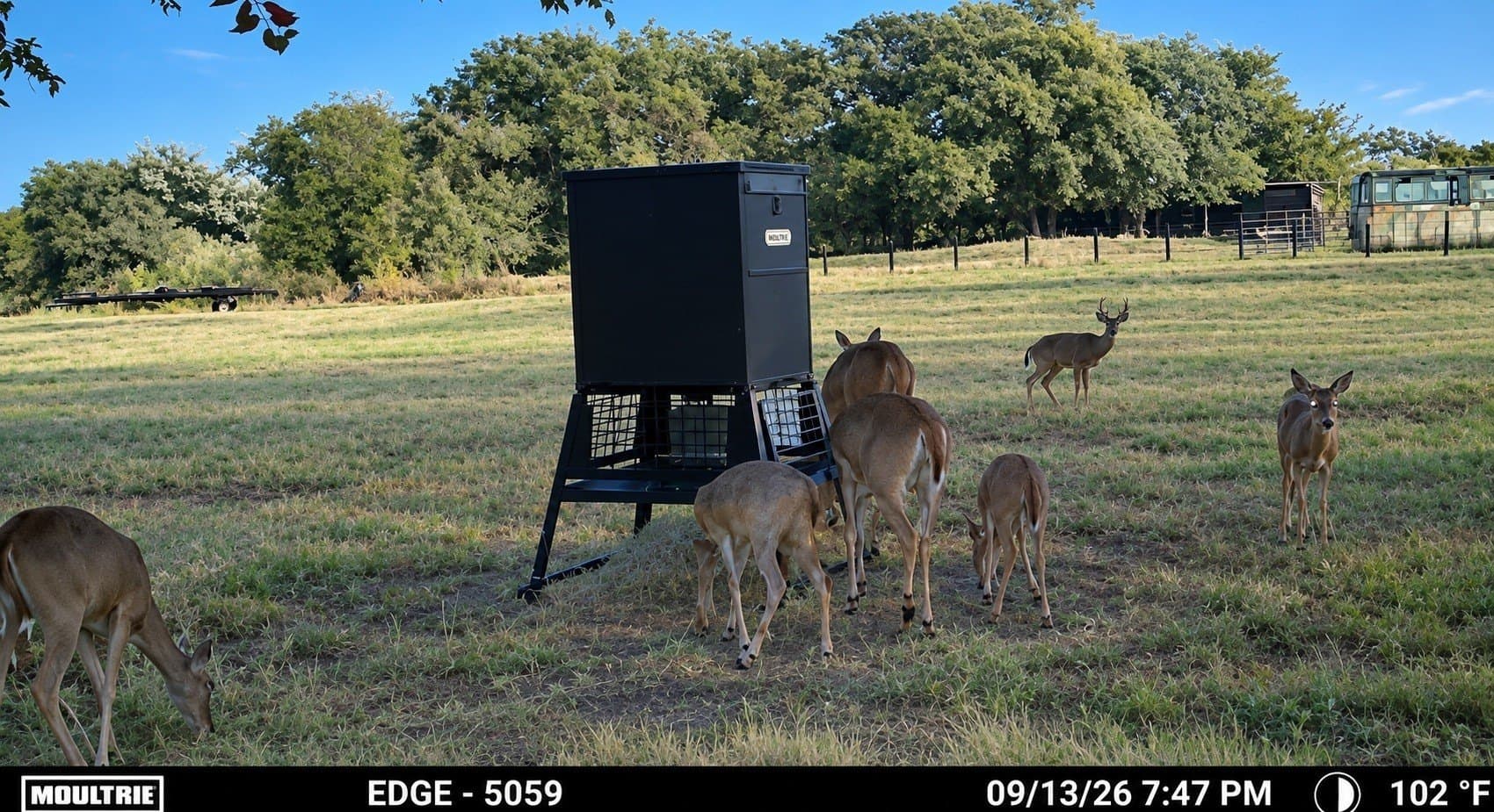26 acres in Van Zandt County - photo 38
