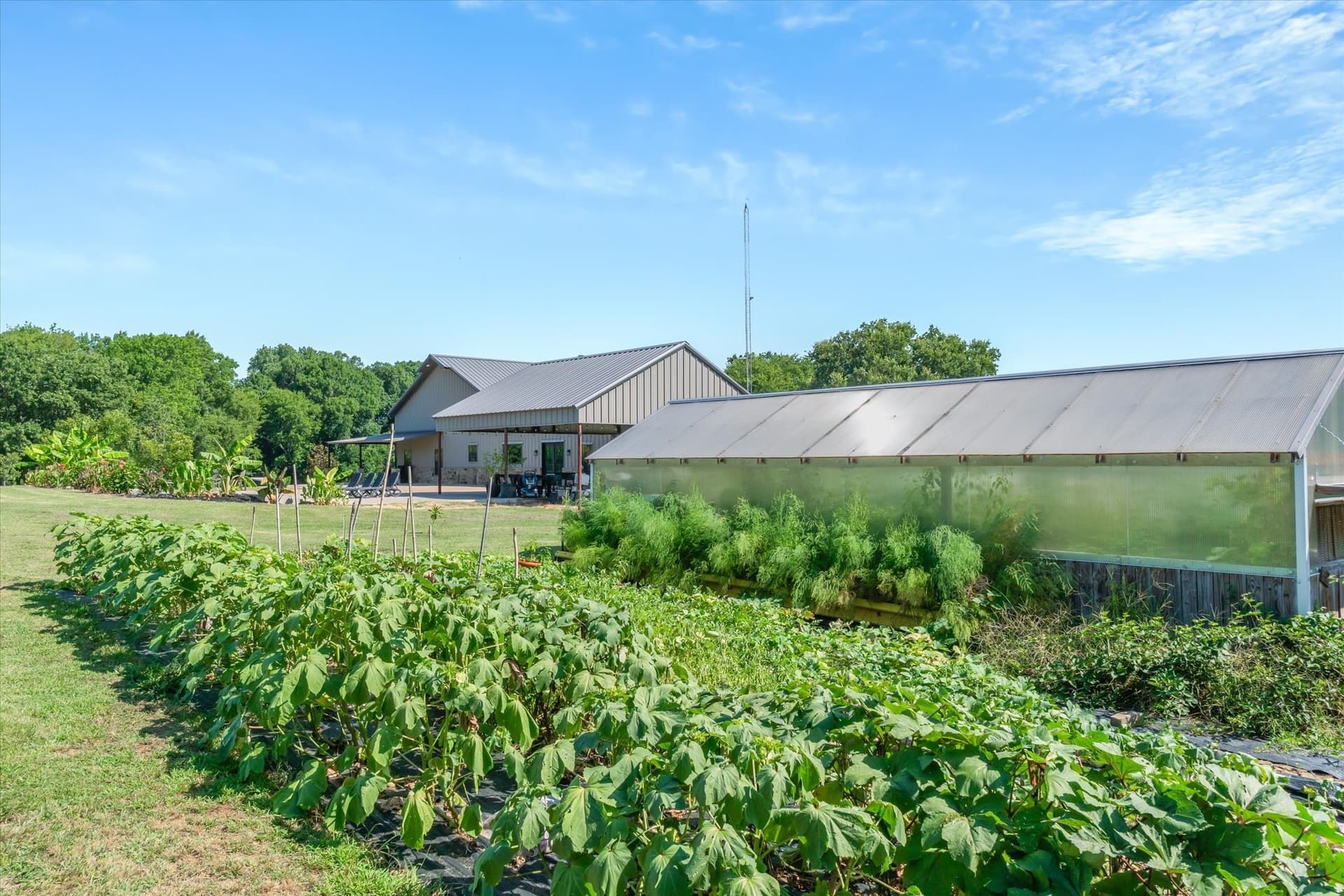 26 acres in Van Zandt County - photo 36