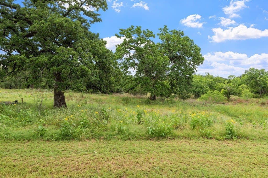 33.06 acres in Gillespie County featured view