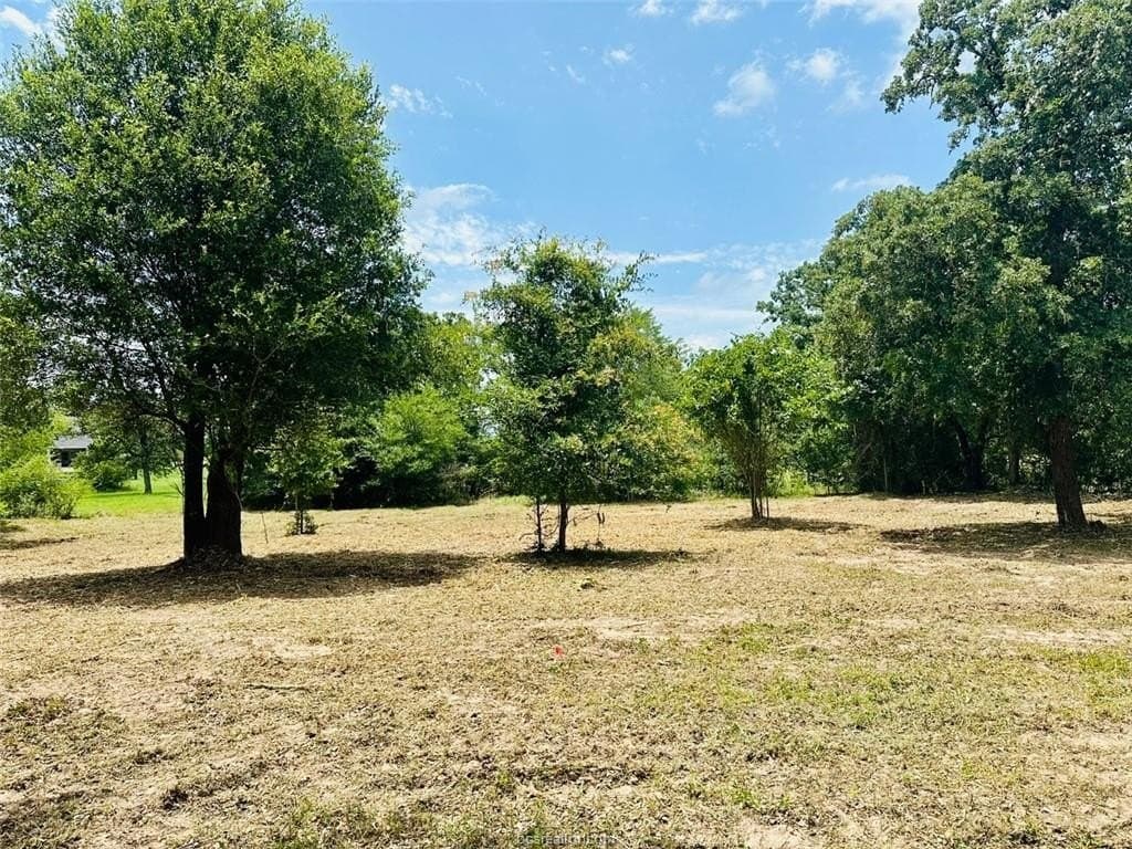 1.25 acres in Grimes County - photo 8
