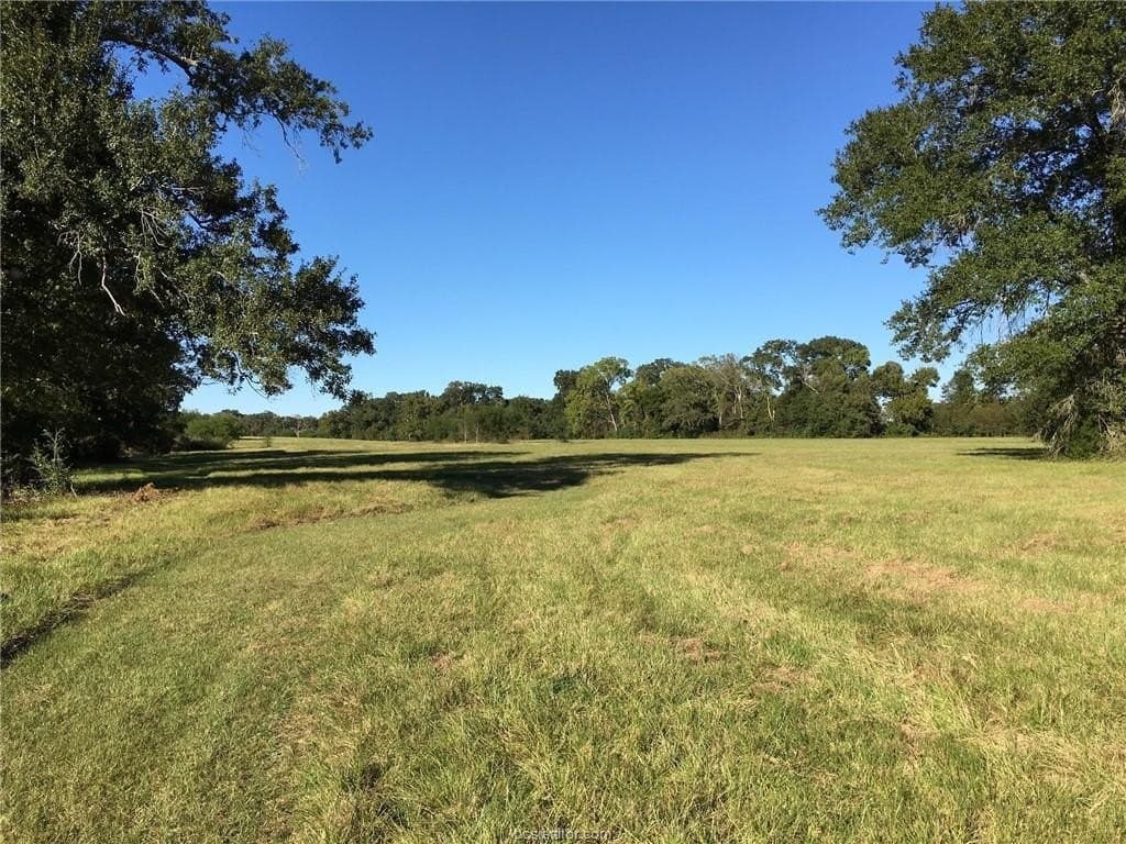 1.25 acres in Grimes County - photo 19
