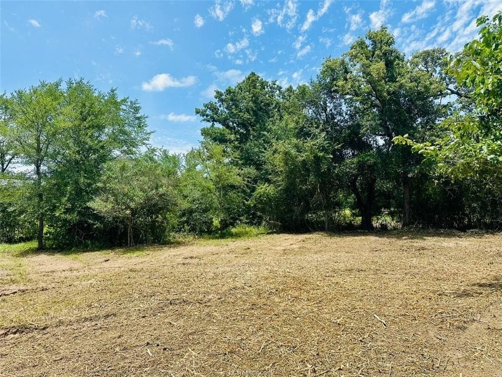 1.25 acres in Grimes County - photo 10