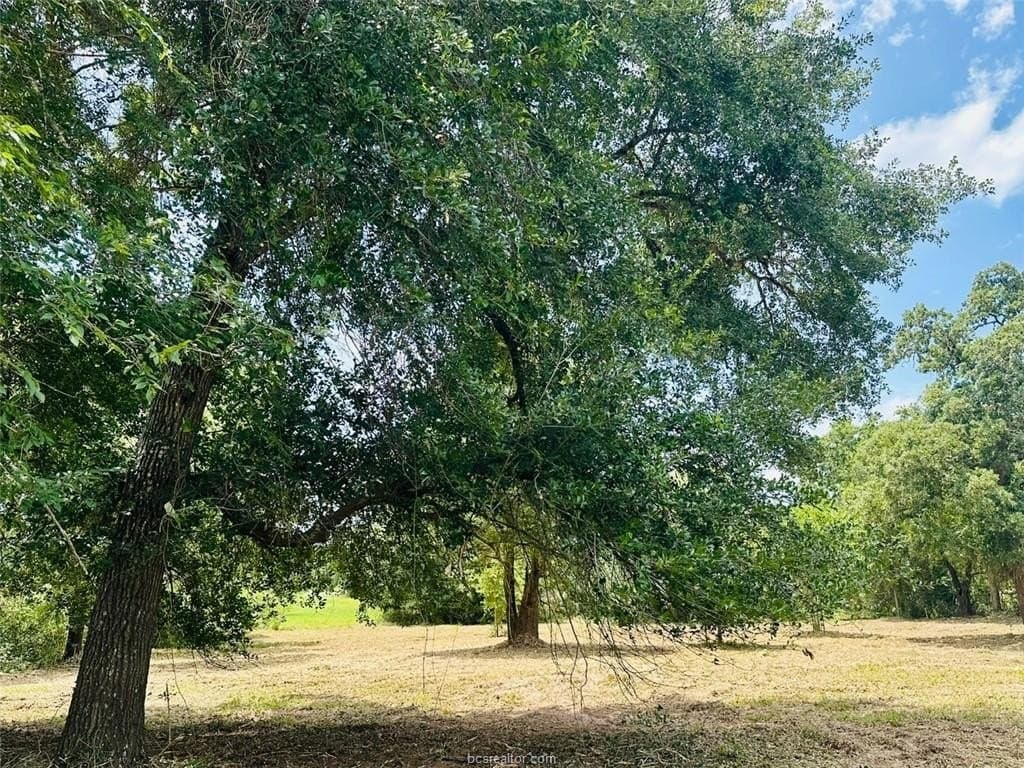 1.25 acres in Grimes County - photo 11