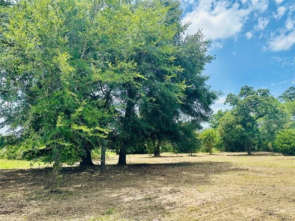 1.25 acres in Grimes County - photo 12