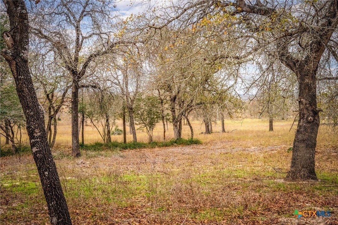 4.32 acres in Gonzales County gallery image 3