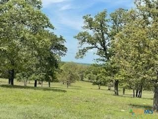 4.32 acres in Gonzales County featured view