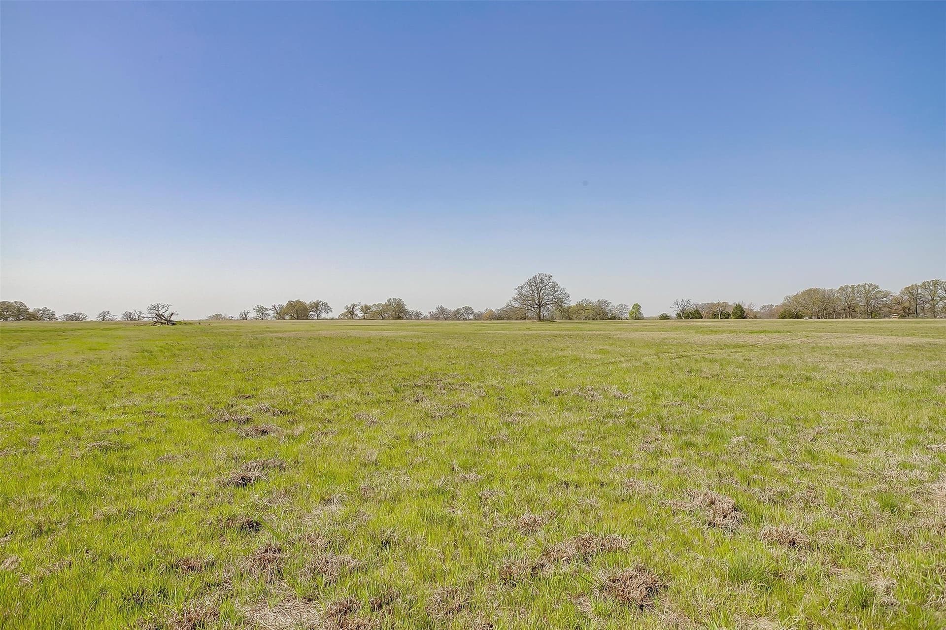 114.3 acres in Henderson County - photo 18