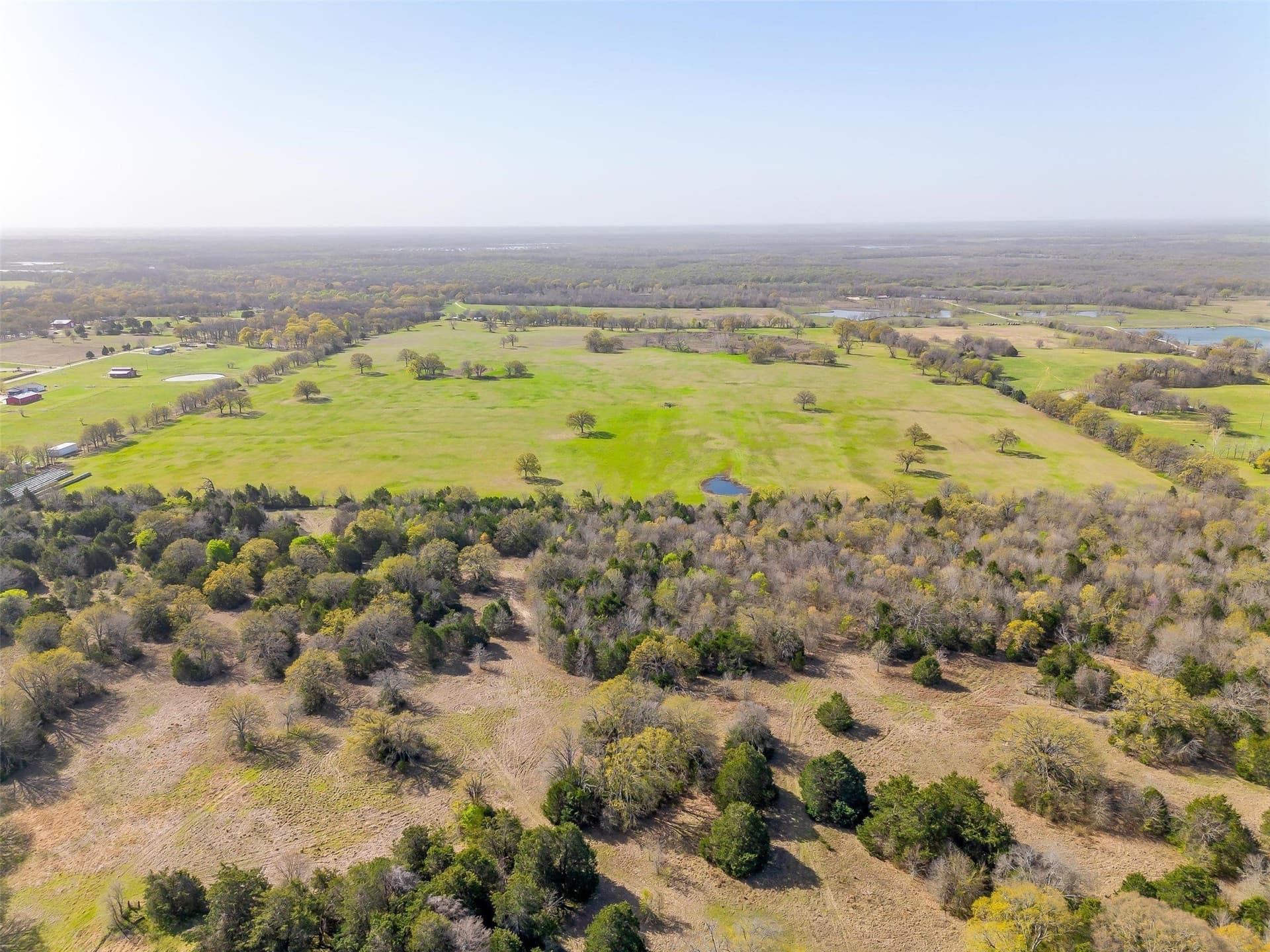 114.3 acres in Henderson County - photo 8