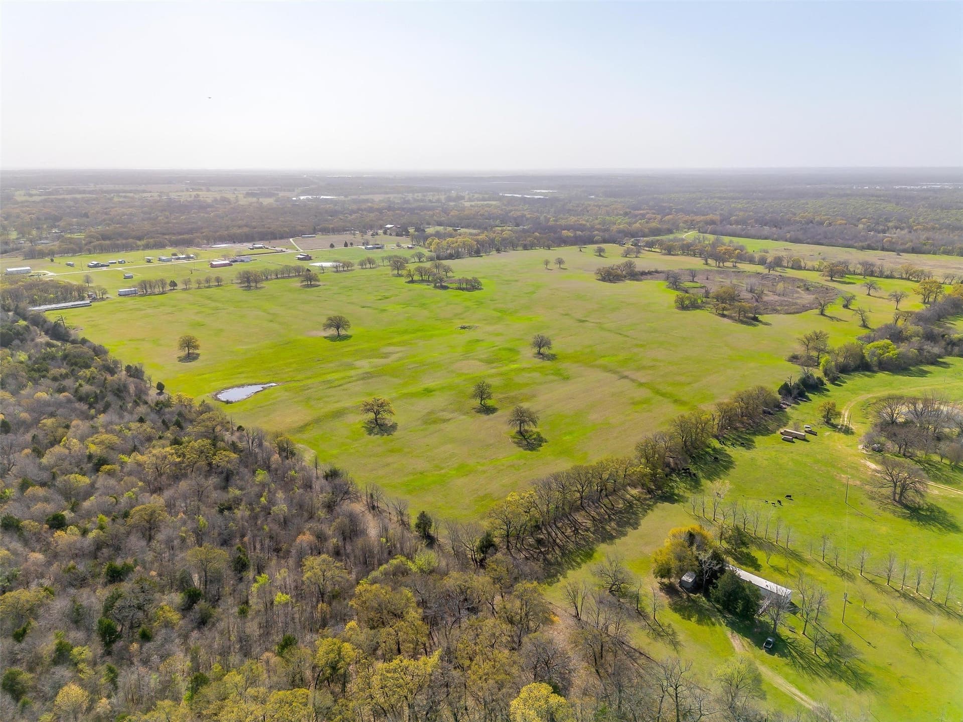 114.3 acres in Henderson County - photo 9