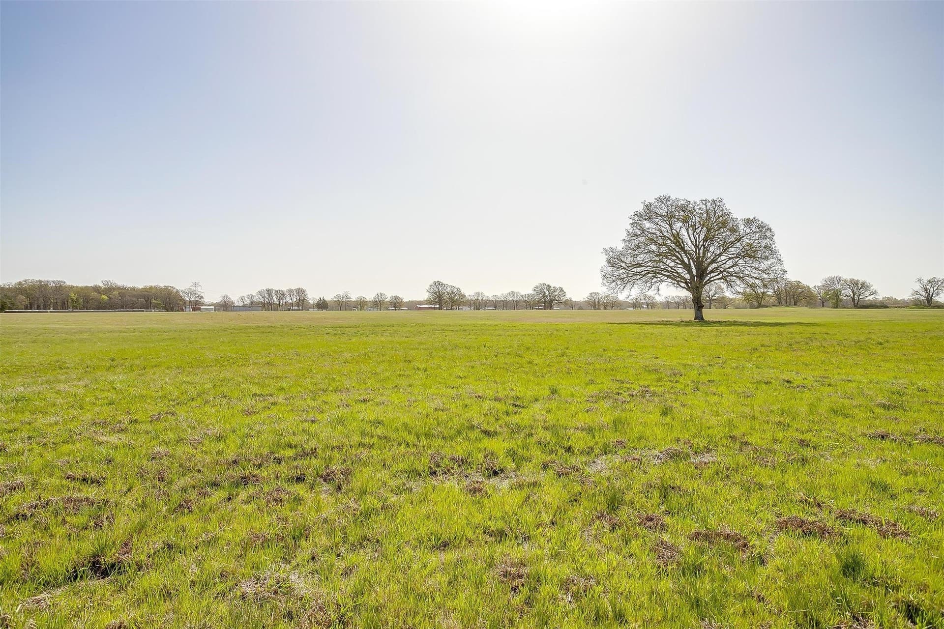 114.3 acres in Henderson County - photo 3