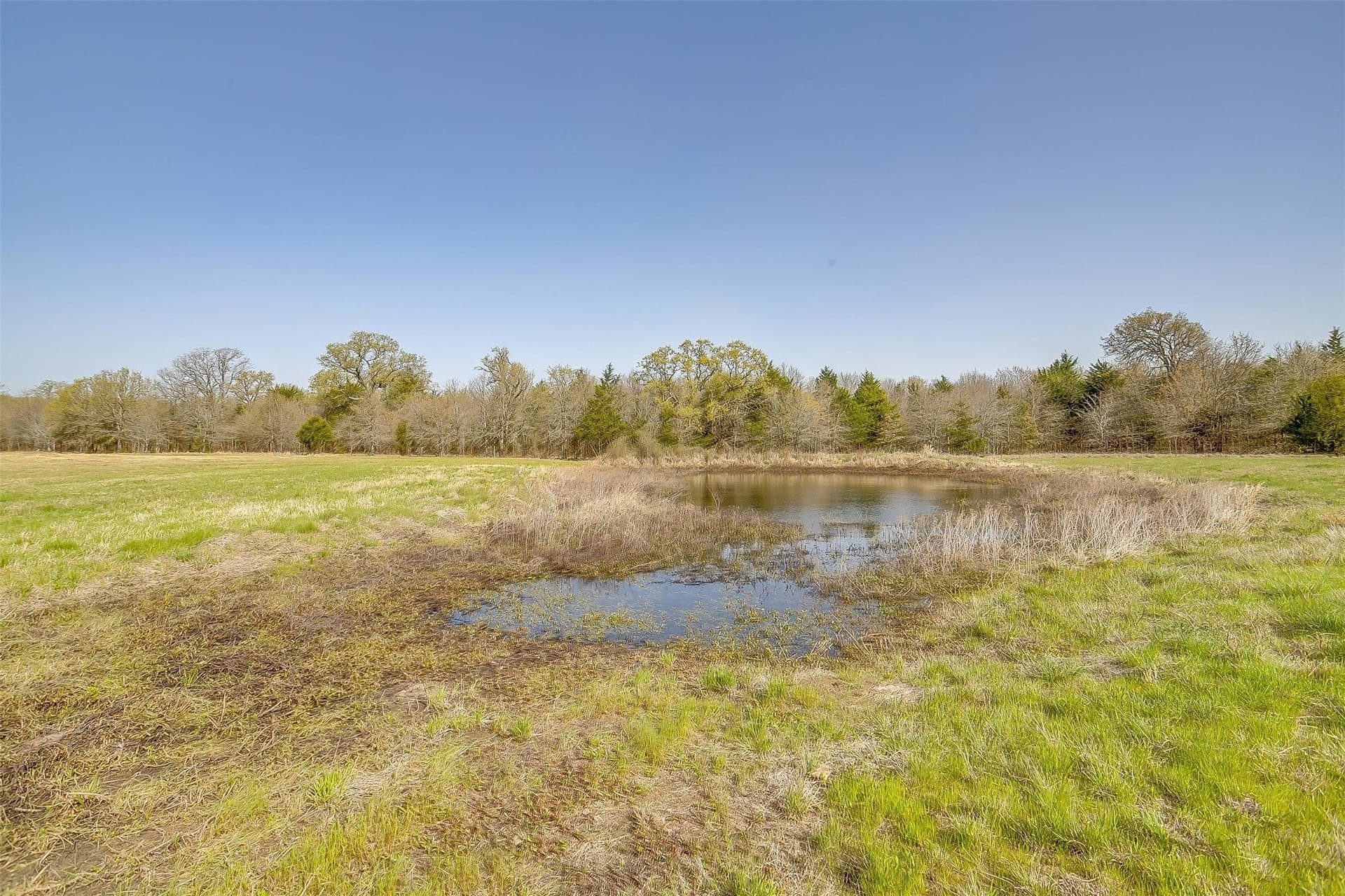 114.3 acres in Henderson County - photo 17